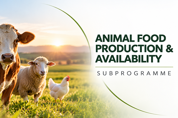  Food Animal Production and Availability subprogramme