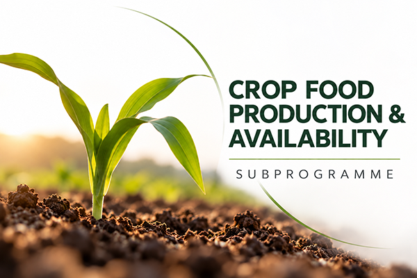 About the Crop Food Production and Availability subprogramm