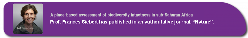 A place-based assessment of biodiversity intactness in sub-Saharan Africa