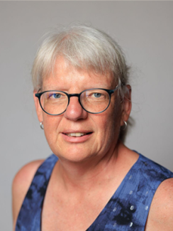 Prof Roelien Goede